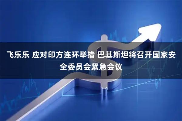 飞乐乐 应对印方连环举措 巴基斯坦将召开国家安全委员会紧急会议