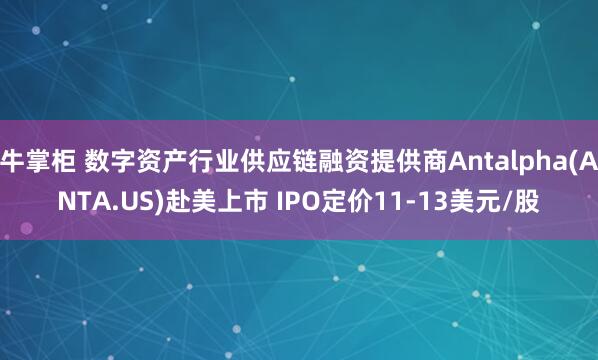 牛掌柜 数字资产行业供应链融资提供商Antalpha(ANTA.US)赴美上市 IPO定价11-13美元/股