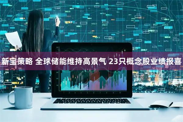 新宝策略 全球储能维持高景气 23只概念股业绩报喜